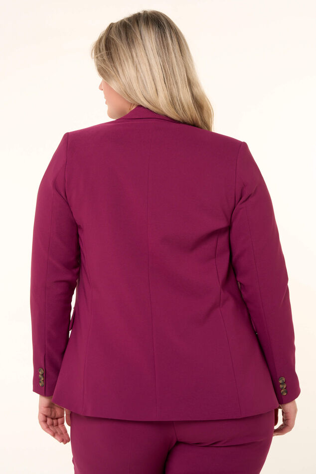 Blazer  image number 4