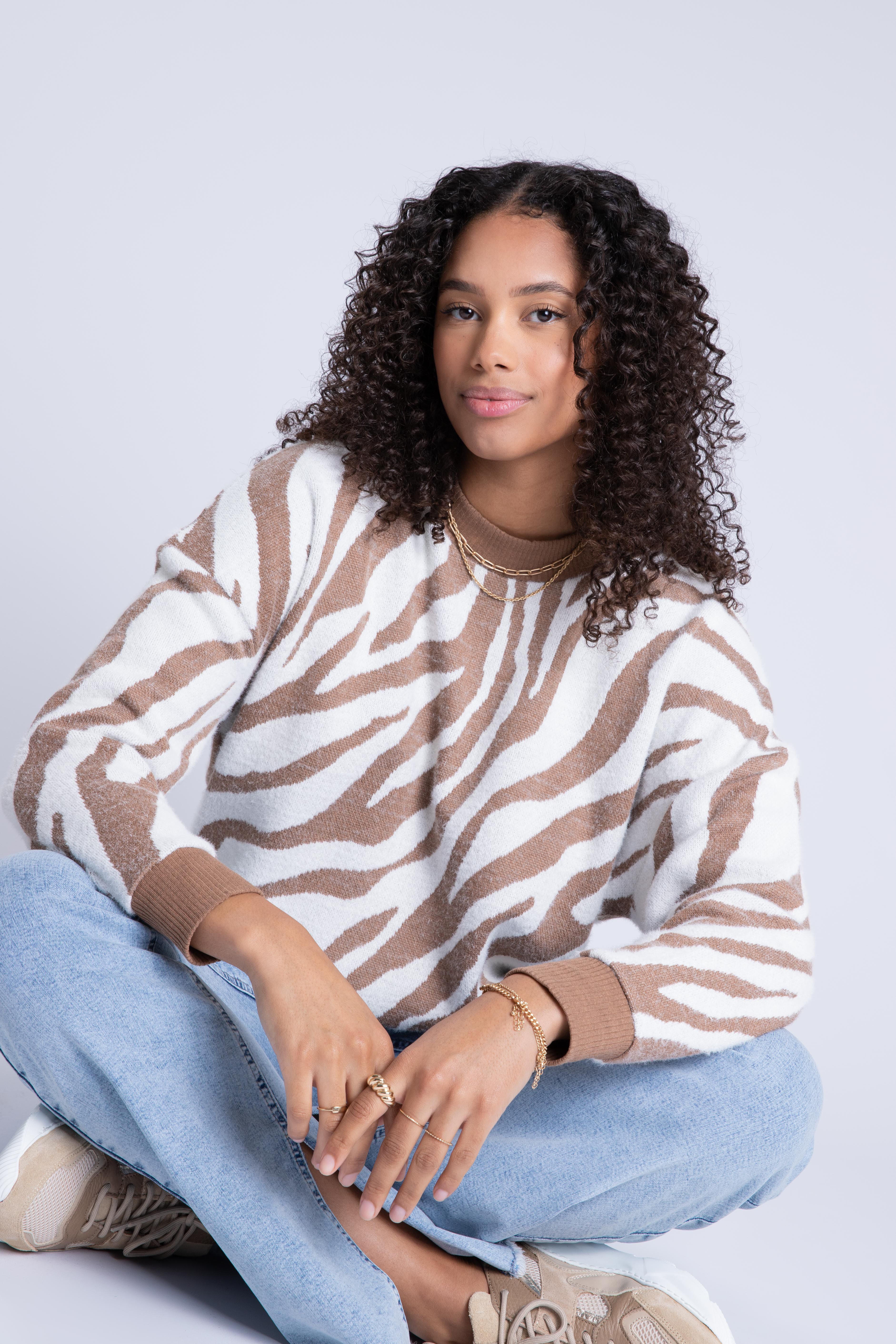 Pullover mit Zebra-Print  image number 3