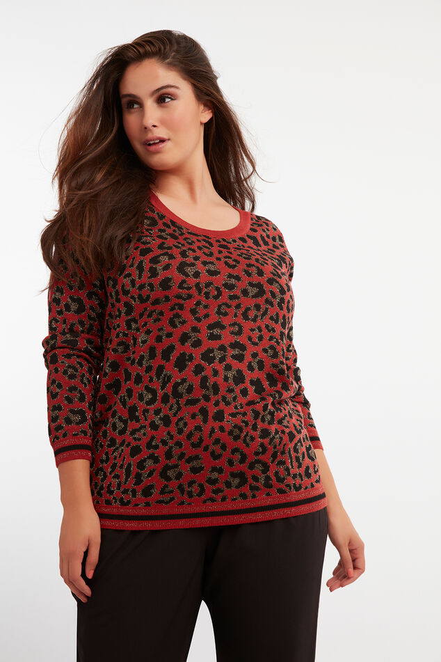 Pullover mit Leoparden-Print image number 0