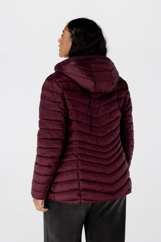 Leicht wattierte Jacke image number 3