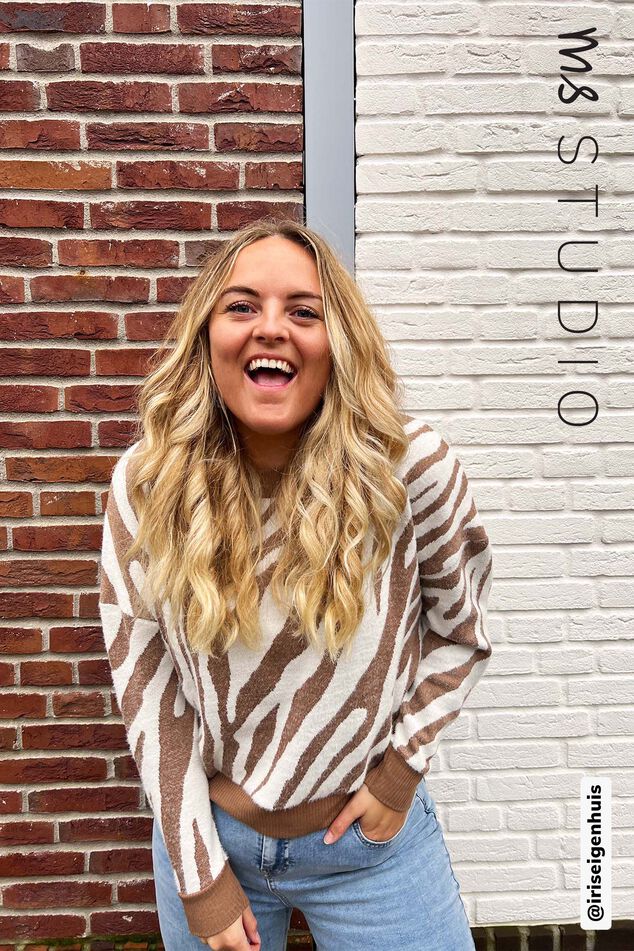 Pullover mit Zebra-Print  image number 0