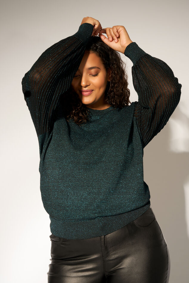 Pullover mit Glitzerdetail image number 0