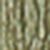 Khaki Khaki