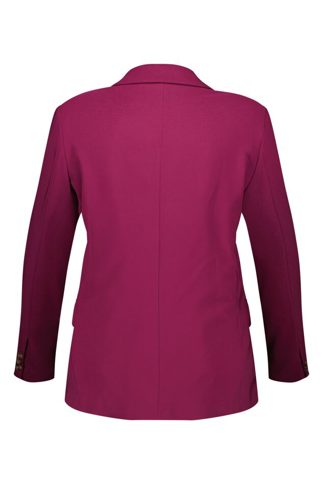 Blazer  image number 3