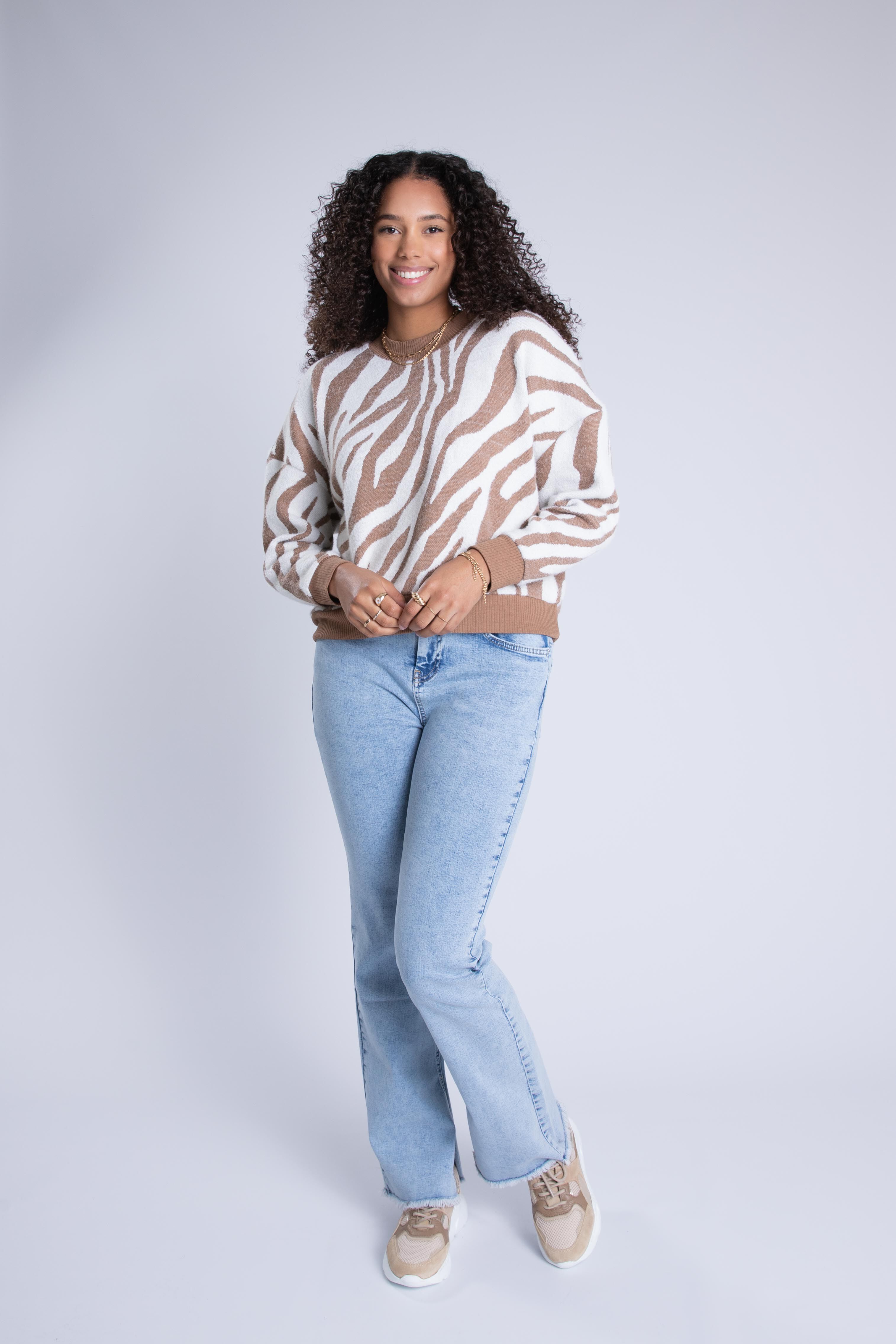 Pullover mit Zebra-Print  image number 6