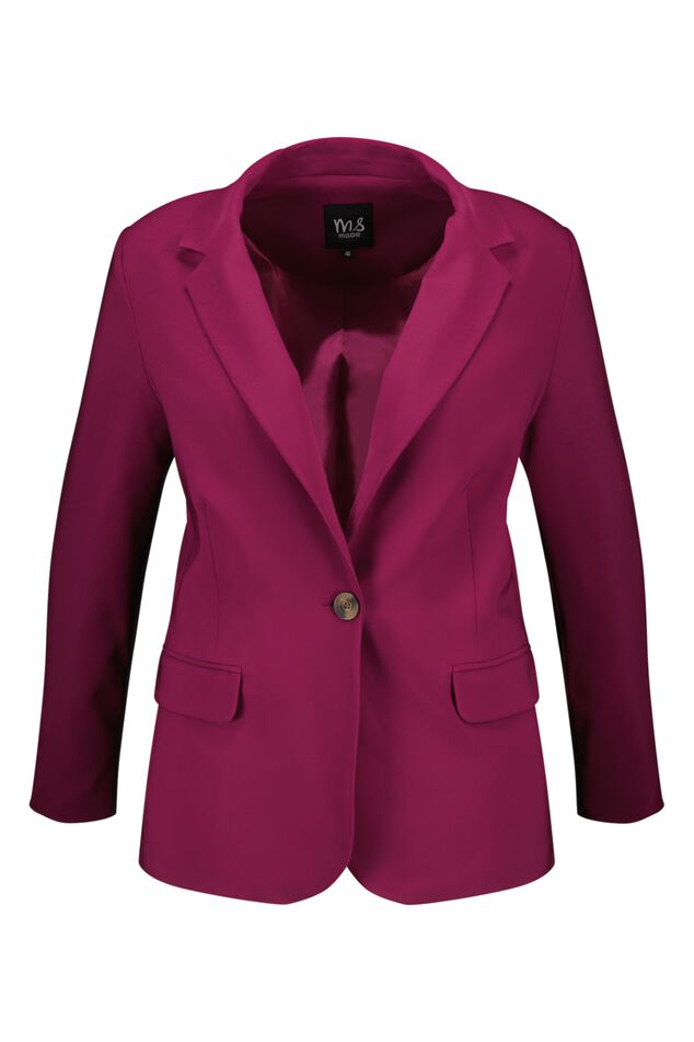 Blazer  image number 2
