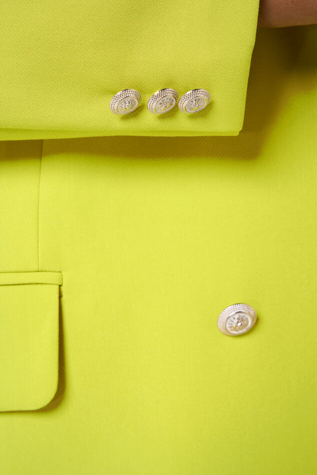 Blazer image number 4