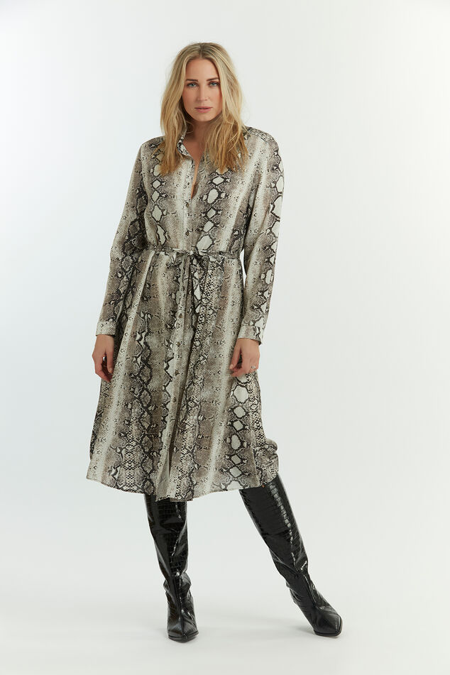 Hemdkleid mit Schlangen-Print image number 0