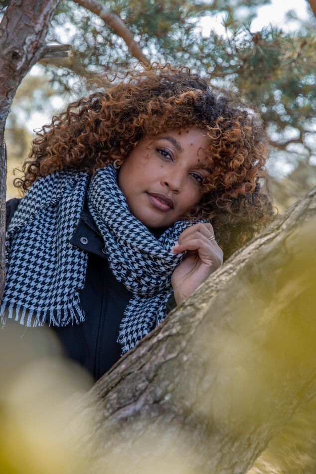 Schal mit Hahnenrittmuster image number 0