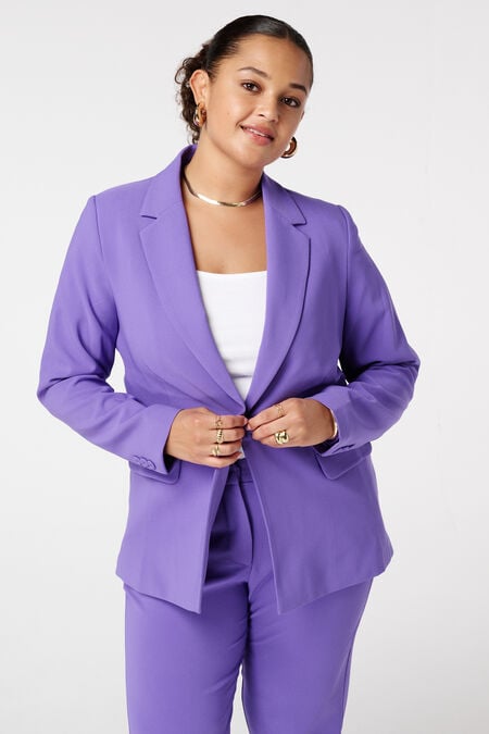 Klassischer Blazer Klassischer Blazer